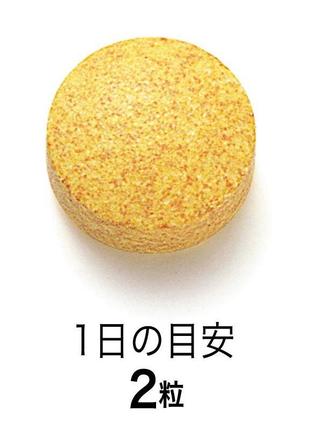 Комплекс вітамінів групи b від fancl, японія, 60 шт.2 фото