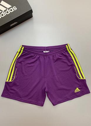 Спортивные шорты adidas1 фото