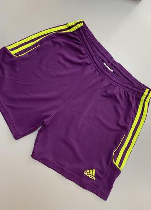 Спортивные шорты adidas3 фото