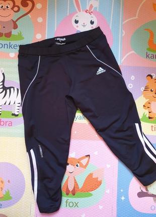 Лосины adidas