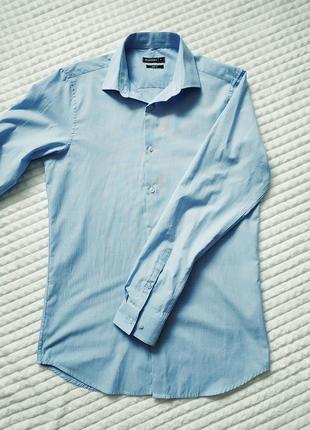 Сорочка peacocks