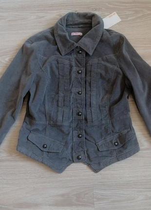 Жакет сюртук gin tonik l велюр оксамит натуральний