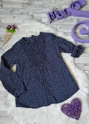 Сорочка туніка zara kids на дівчинку в горох на ріст 110-116 см1 фото