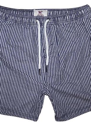 Чоловічі шорти в смужку easy surf co l