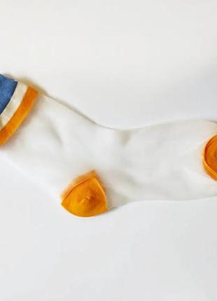 Шкарпетки капронові з ефектом прозорості різнокольорові