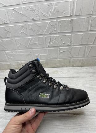 Черевики lacoste
