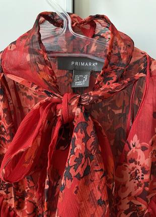 Primark блуза рубашка7 фото