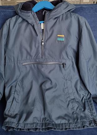 Вітровка синя