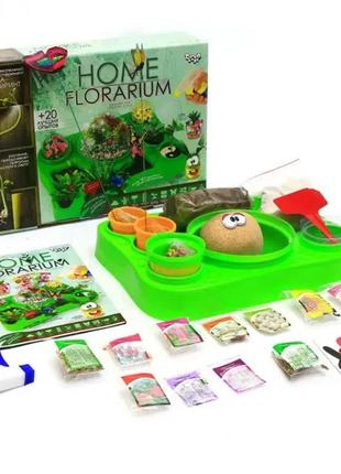 Набір дитячої творчості флораріум, вирощування рослин home florarium, подарунковий набір для творчості