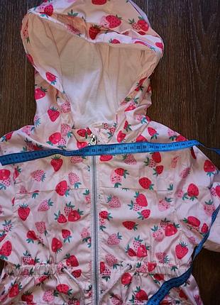 Вітровка, ветровка 2