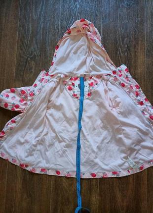 Вітровка, ветровка 8