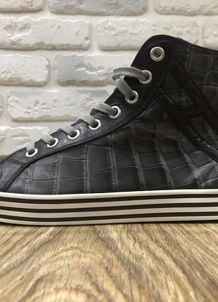 Кроссовки hogan rebel