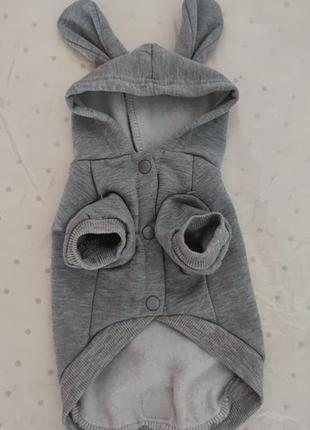 Одяг для тварин, костюм xs (25см)