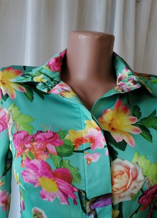 Рубашка блуза блузка сорочка блуза блузка3 фото