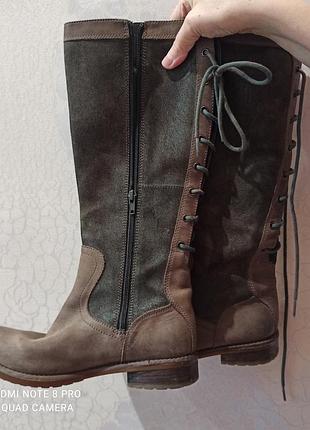 Clarks сапоги женские