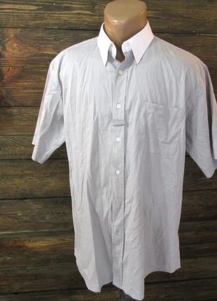 Тенниска silver line, horka holland, l, cotton-lycra, как новая!