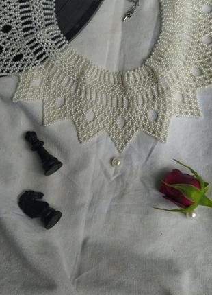 Силянка "тендітна"