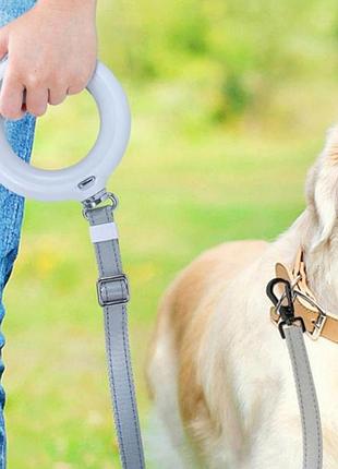 Сучасна фірмова  кругла рулетка waudog