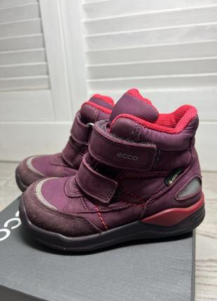 Зимние сапоги ecco urban mini