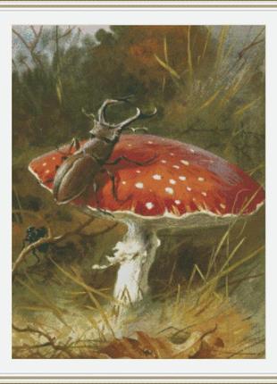 Схема вишивки 2176 "stag beetle and a toadstool" 227 x 2991 фото
