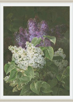 Схема вишивки 2773 lilacs   300 х 401