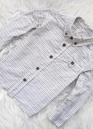 Качественная рубашка сорочка с длинным рукавом nutmeg