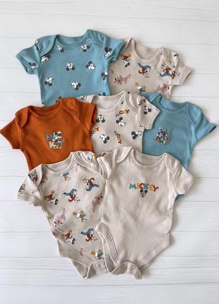 Боді, бодіки