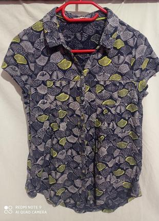 2. хлопковая блуза на пуговицах перламутровые с короткими рукавами хлопок бавовна бавовняна5 фото