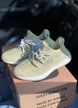 Кросівки жіночі adidas yeezy boost 350 v2 antlia/кроссовки женские адидас изи буст 350 в2