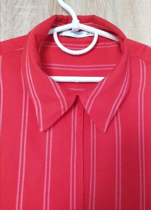 Яскрава червона в полоску сорочка рубашка розмір 48-505 фото