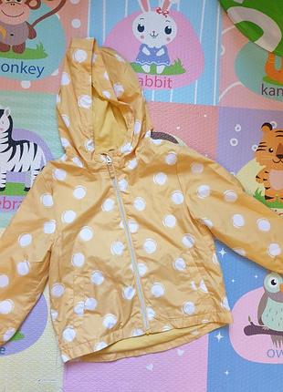 Курточка в горошек
