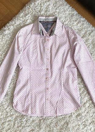 Rubin нежно розовая рубашка блузка хлопок3 фото