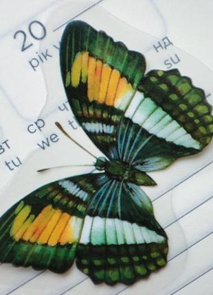Набір для скрапбукінга, наклейки зображення стікерт скетчі для щоденника блокнот записник скетчбук метелики метелик7 фото