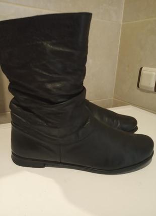 Сапоги
