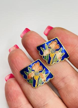 Сережки, вінтаж, клуазоне