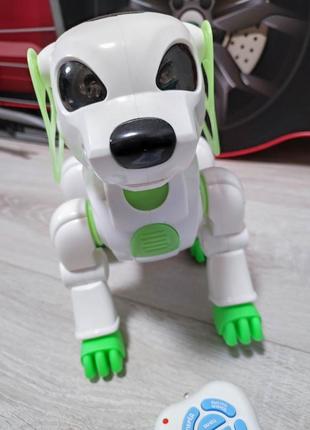 Собака робот3 фото