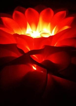 Георгины из изолона с подсветкой.