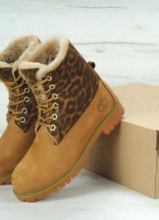 Зимние женские ботинки timberland beige (мех) 36-37-39