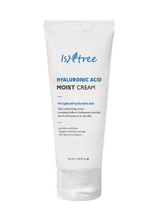 Увлажняющий крем для лица с гиалуроновой кислотой 100 мл isntree hyaluronic acid moist cream5 фото