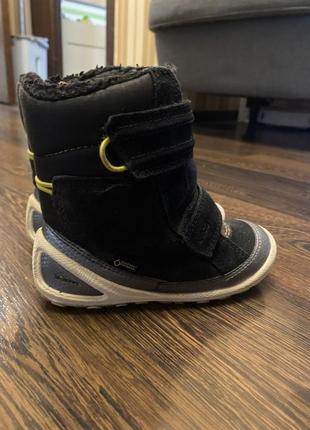 Черевики ecco