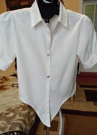 Блуза вузлик1 фото