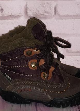 Деми ботинки geox р. 231 фото