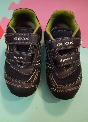 Кросівки кєди для футболу geox1 фото