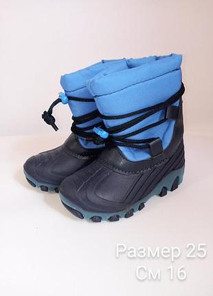 Чоботи, черевики зима lupilu