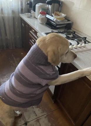 Шерстяной свитер для средних/больших собак2 фото