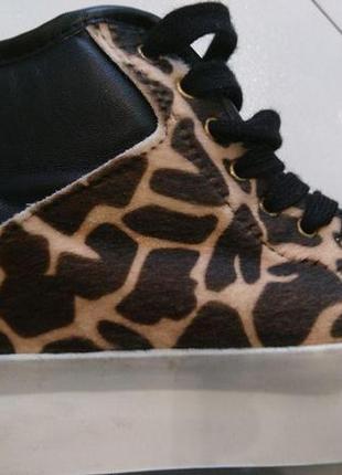 Стильні брендові снікерси cafe noir