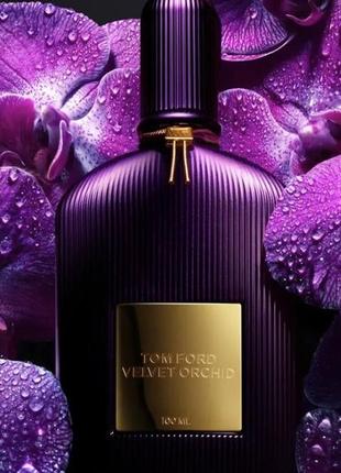 Tom ford velvet orchid