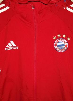 Олимпийка adidas fc bayern l2 фото