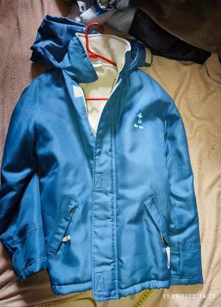 Курька кежуал стилі,мікі