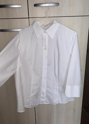 Блуза, сорочка.